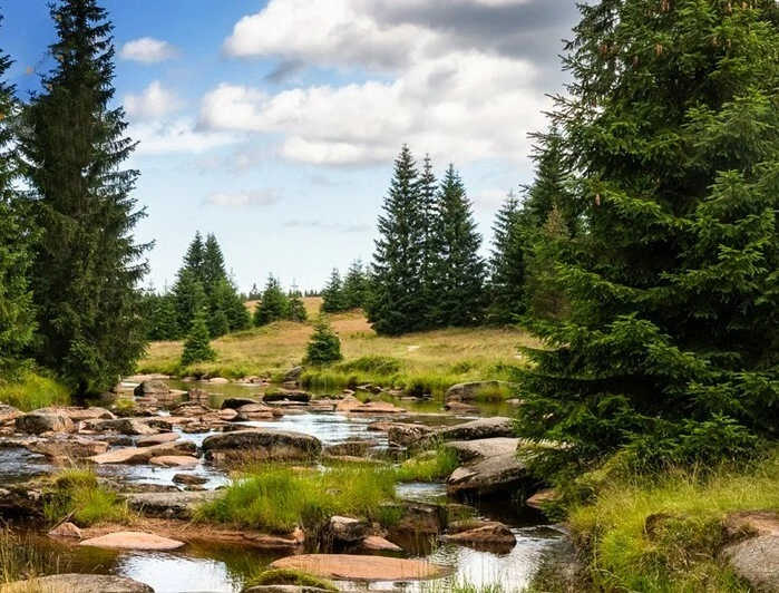 Pavla Bičíková: Příběhy od řeky Jizery