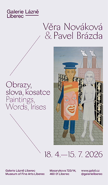 Reklamní banner 339