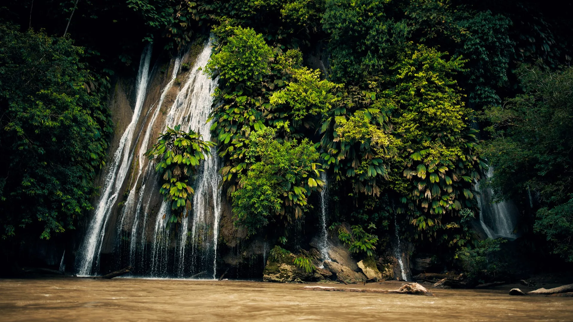 Tajemné Peru: Mezi mýty a realitou ayahuasky