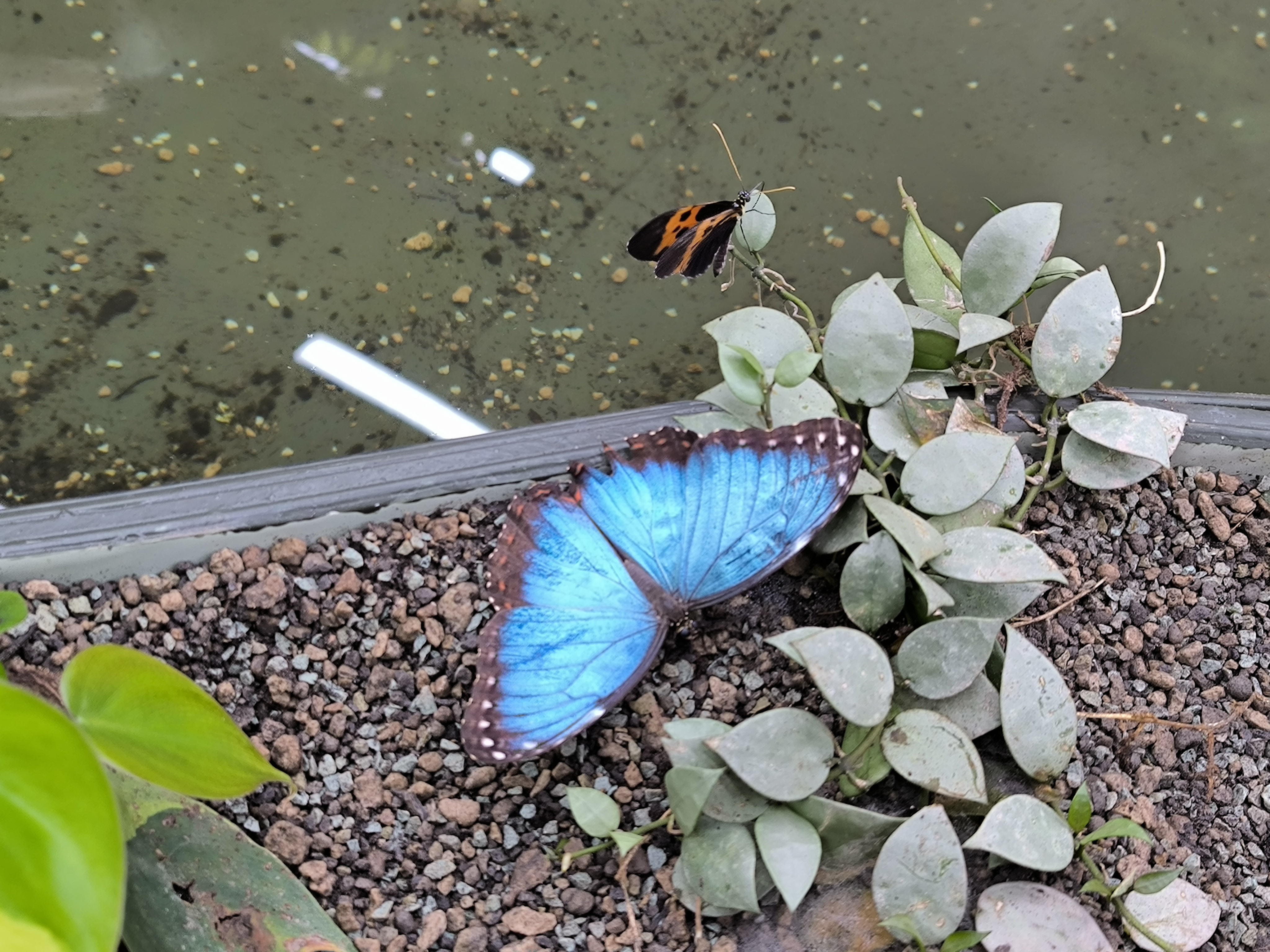 IMG_20240504_143711 (1).jpg