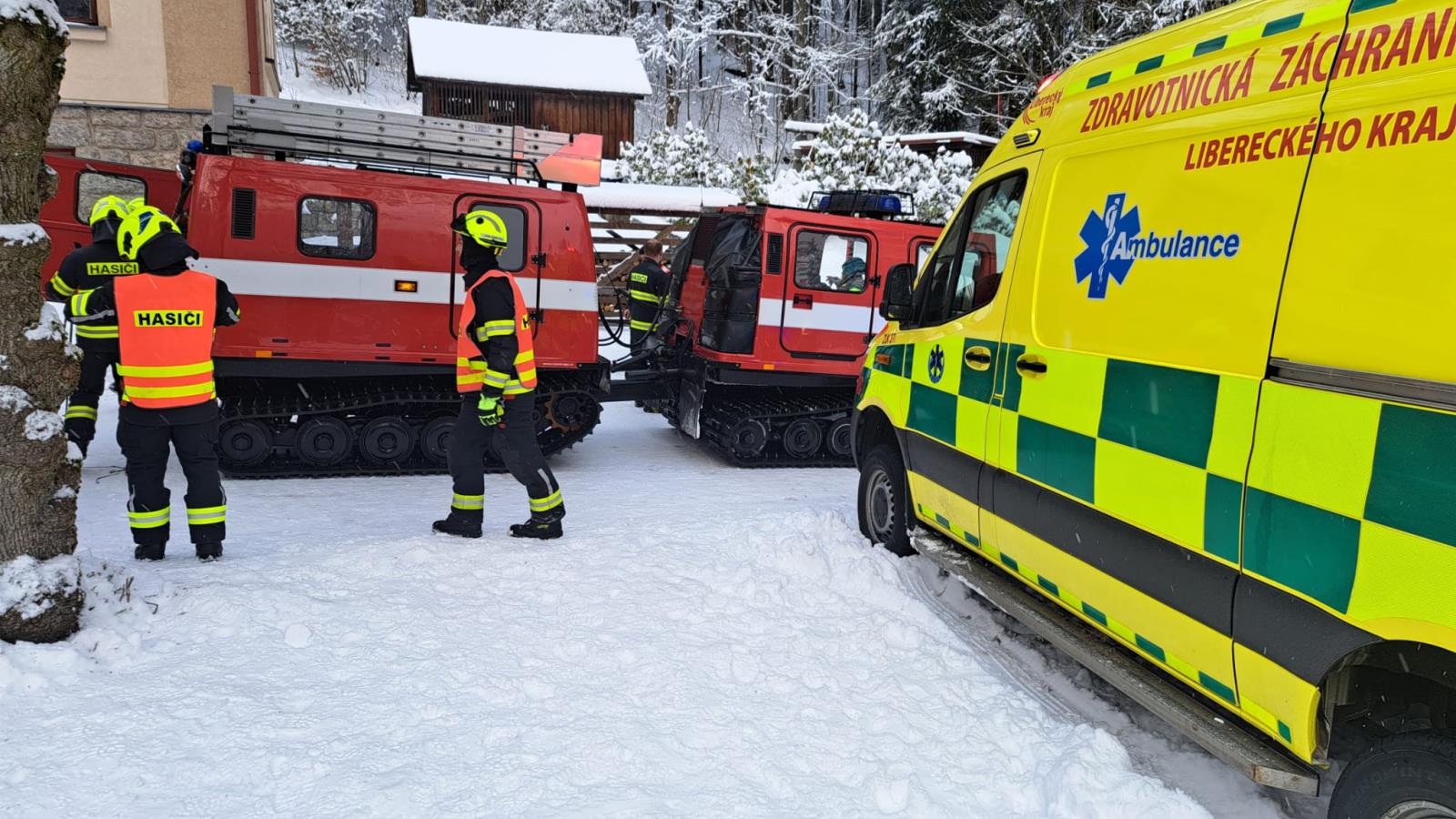 ViewImage - 2026-02-19T010923.032.jpeg