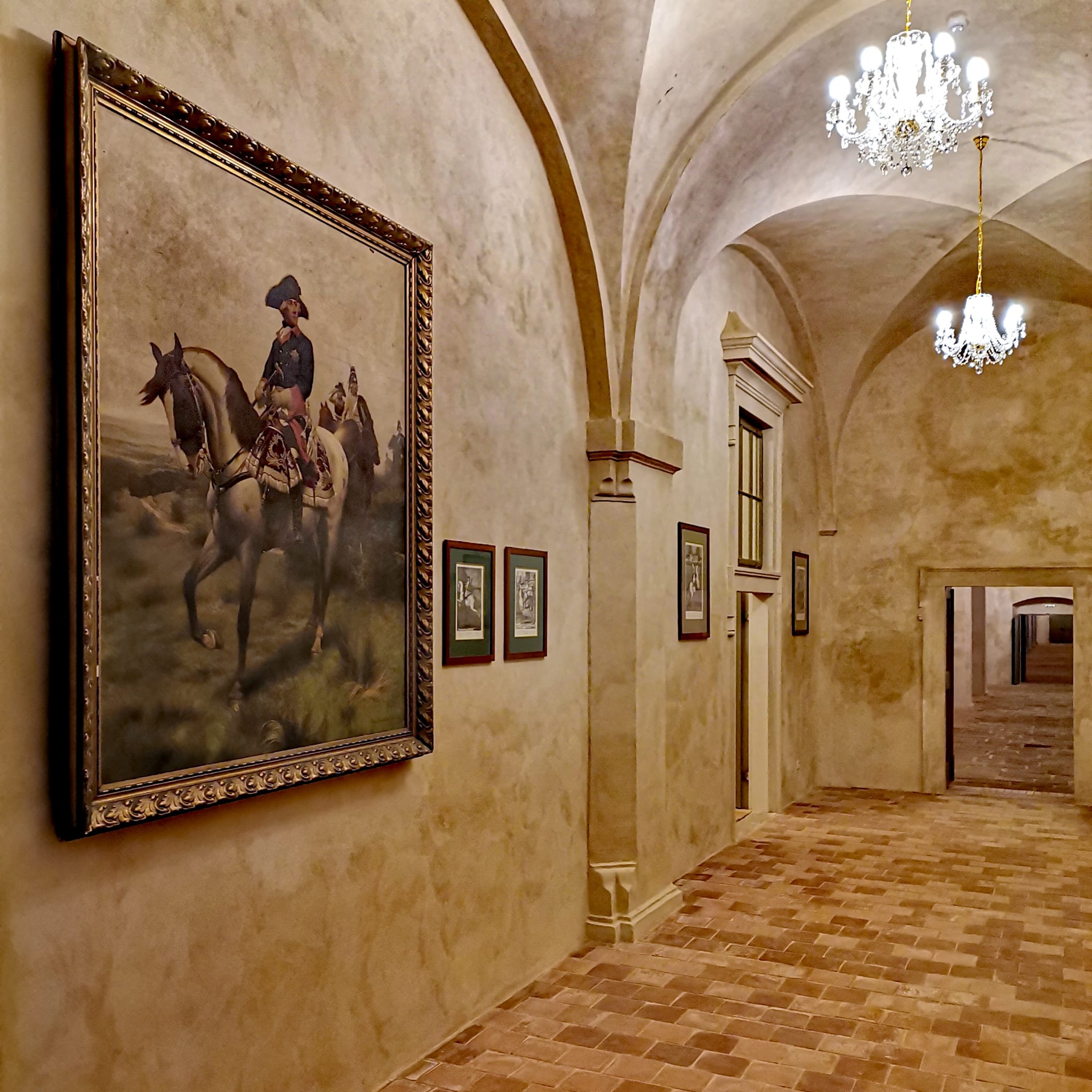zakupy-konirna-archiv-npu-11-.jpg