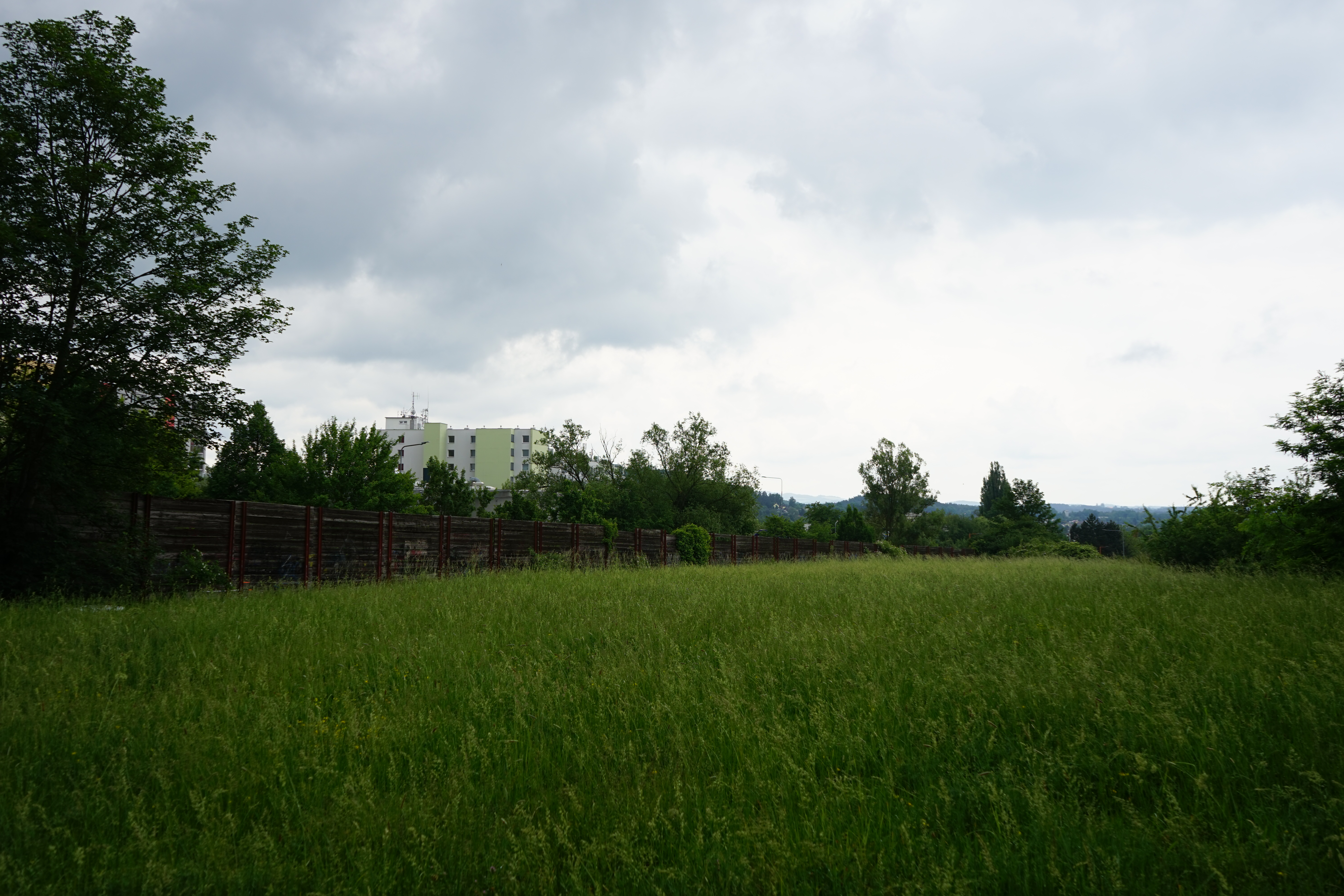 DSC00163.JPG