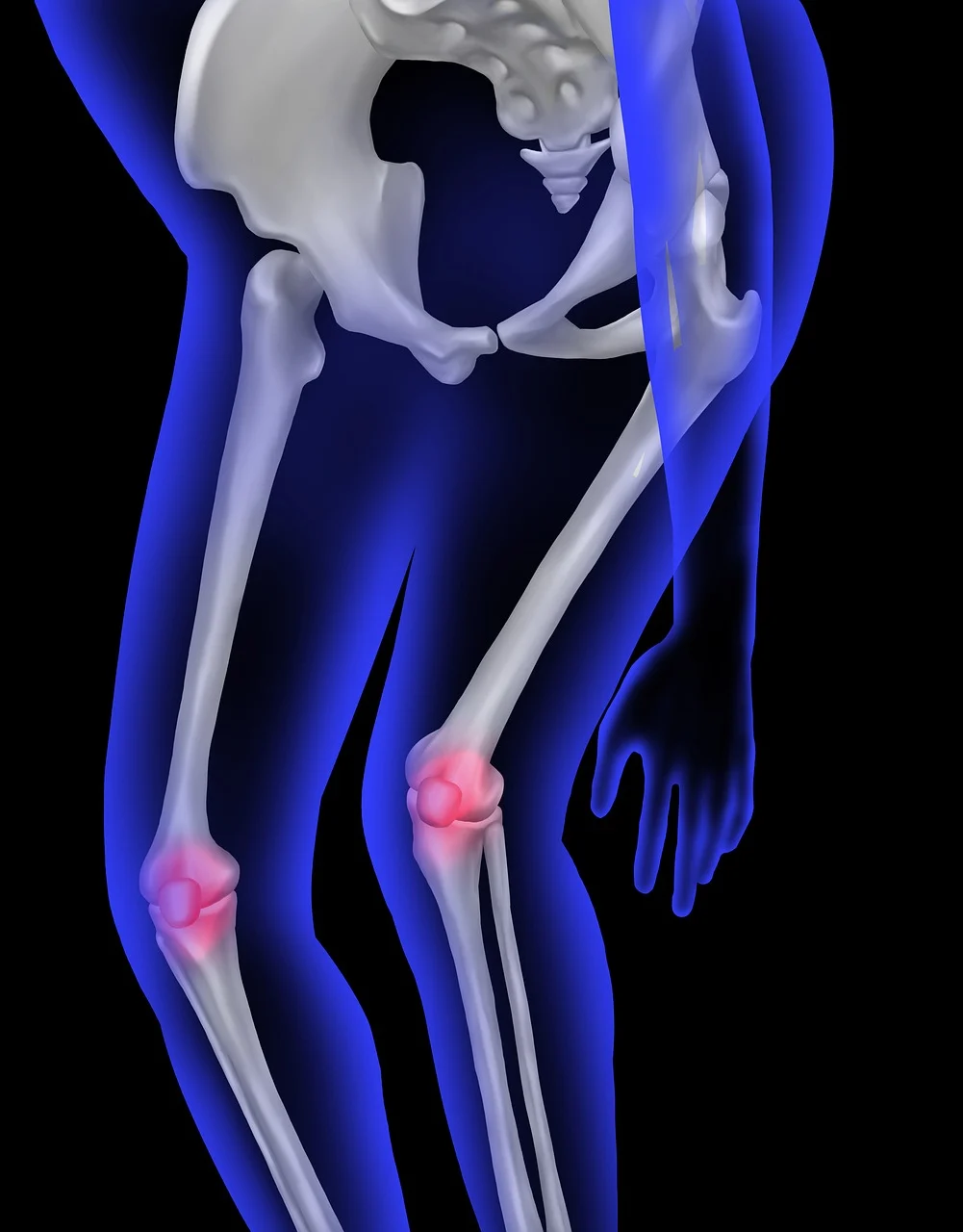human-bone-9769788_1280.webp.jpg