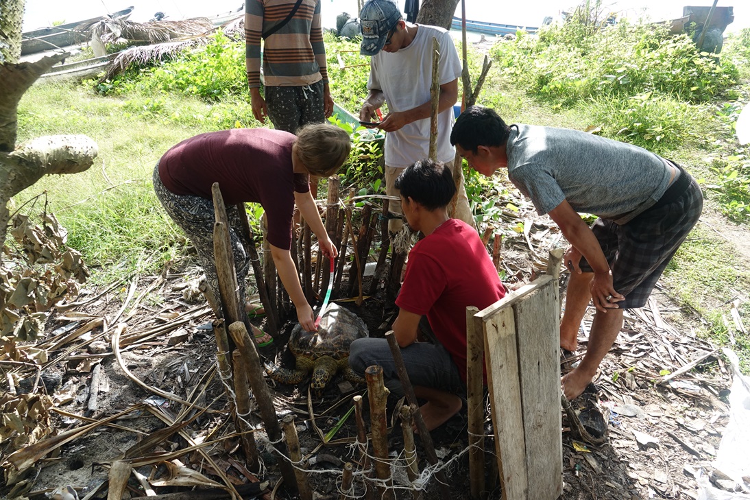 Adéla Hemelíková při terénní práci na Sumatře.JPG