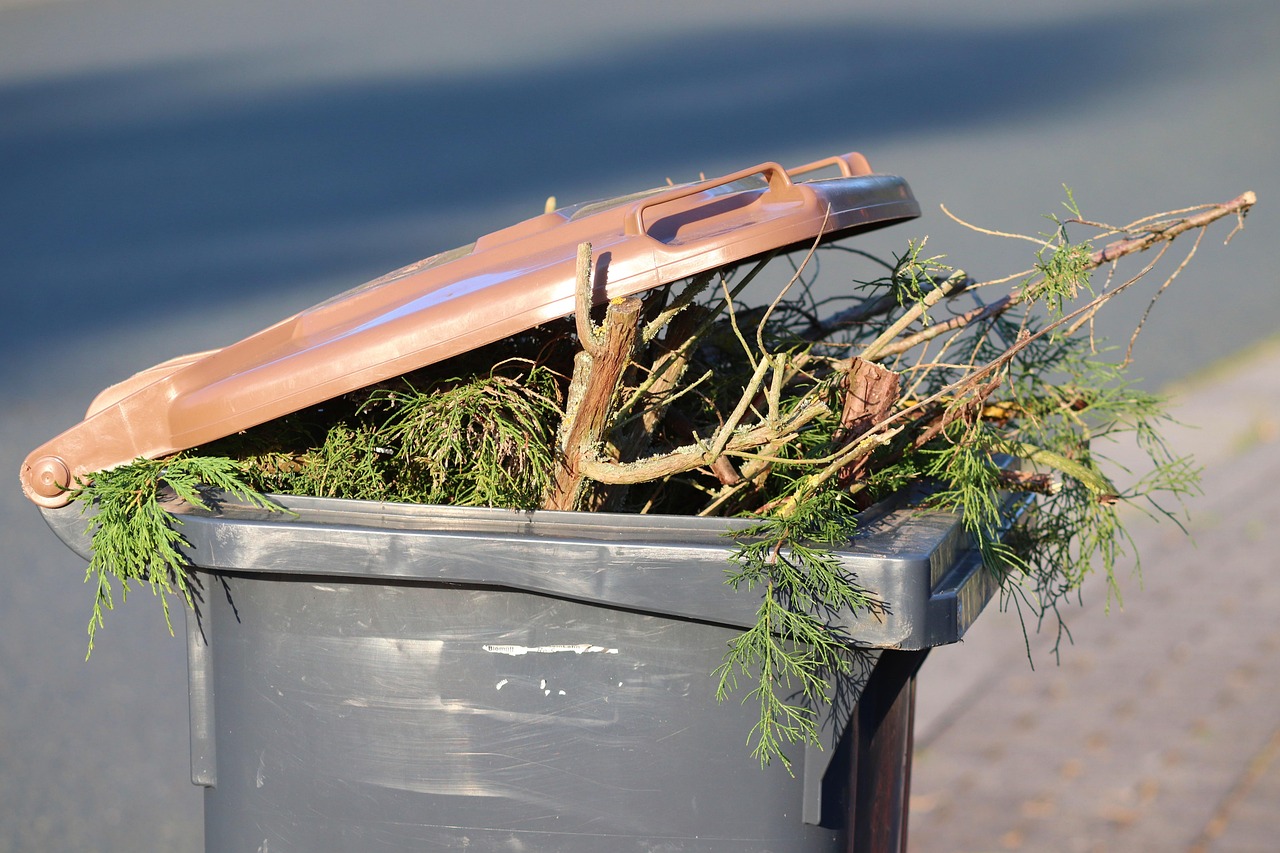 dustbin-5398348_1280.jpg