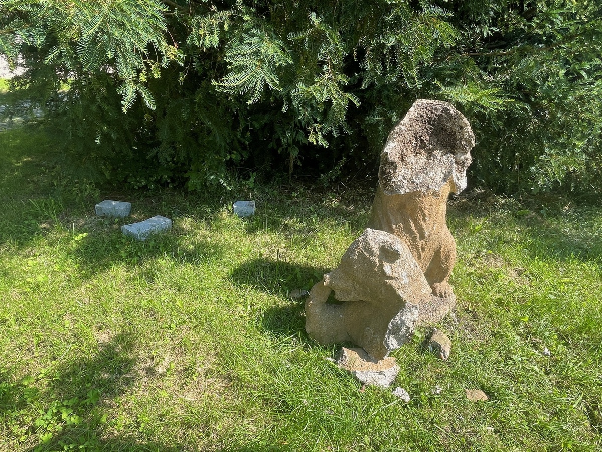 medvidek poško.jpg