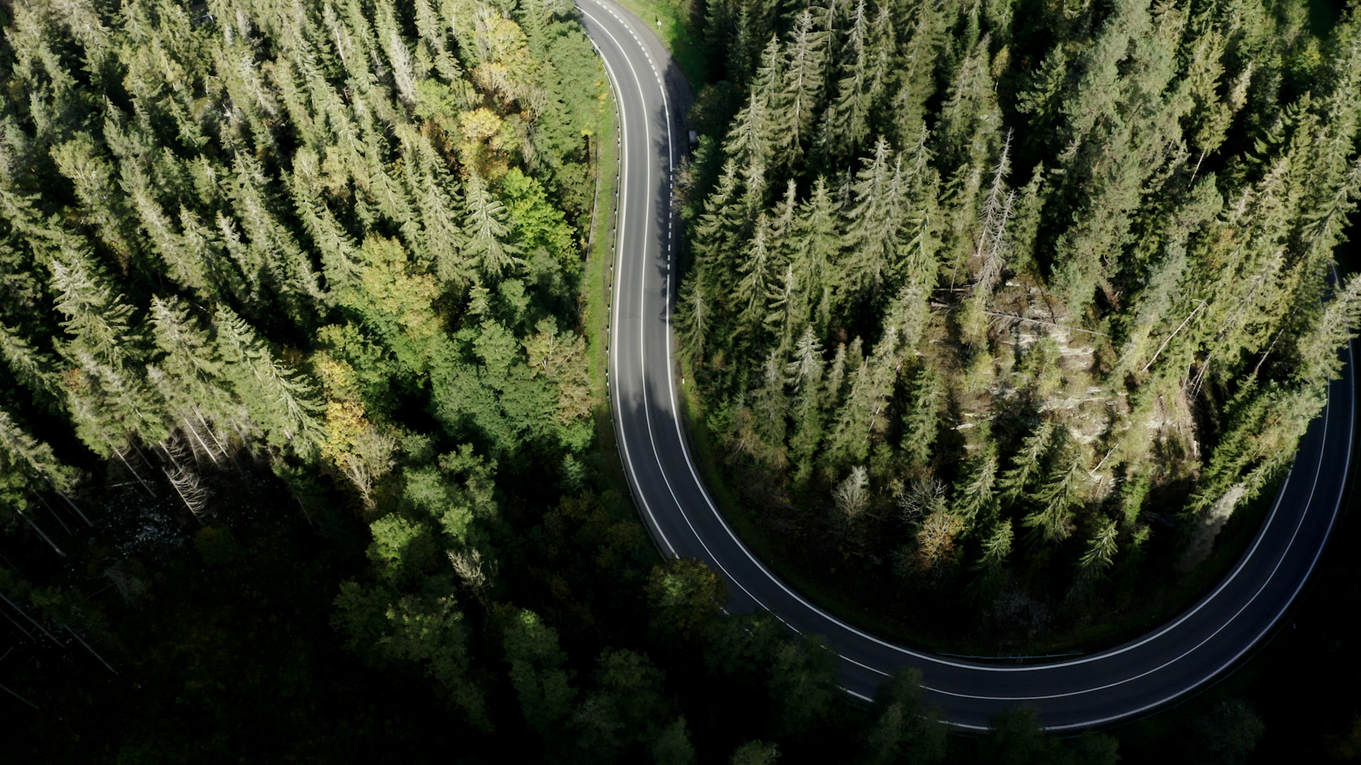 EDIT SEQ.00_00_01_02.Still021.jpg