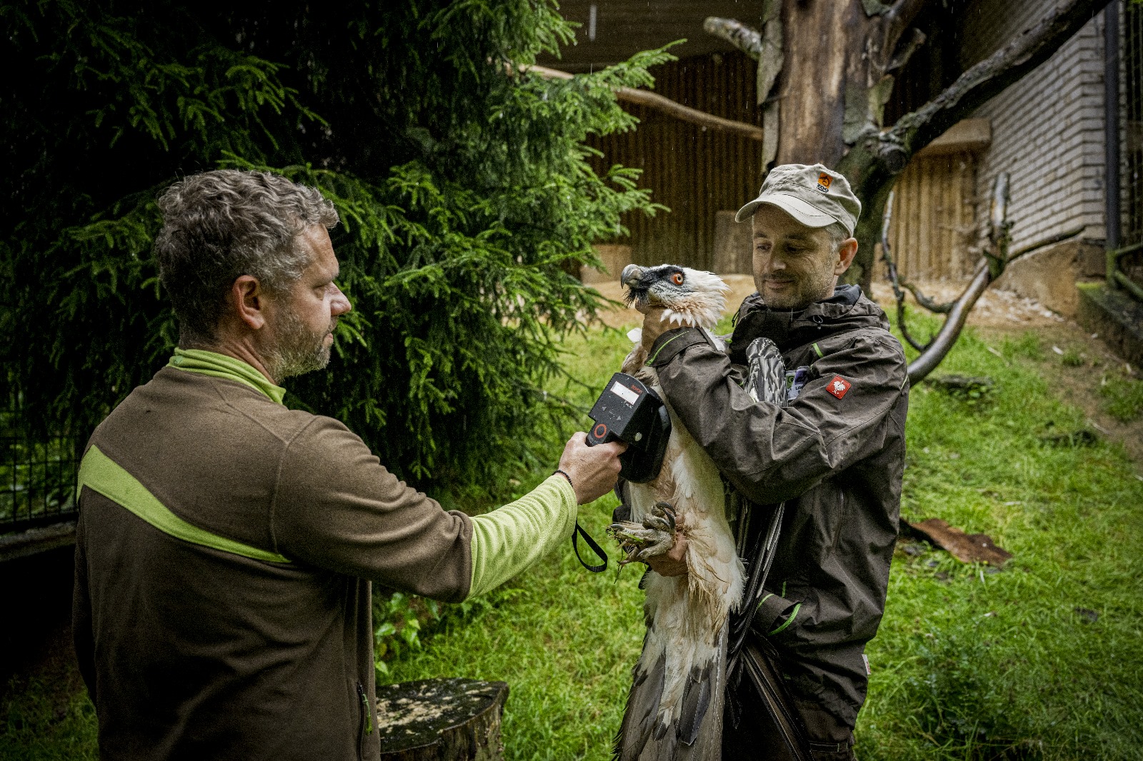 Kontrola čipu před transportem_foto_Radek Petrášek_ČTK.JPG