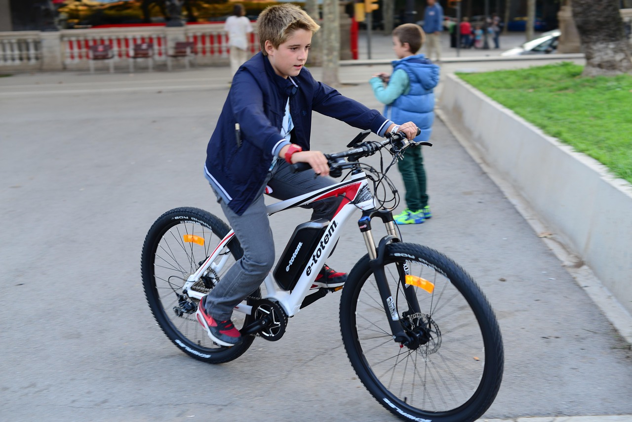 bike-motor-1531268_1280.jpg