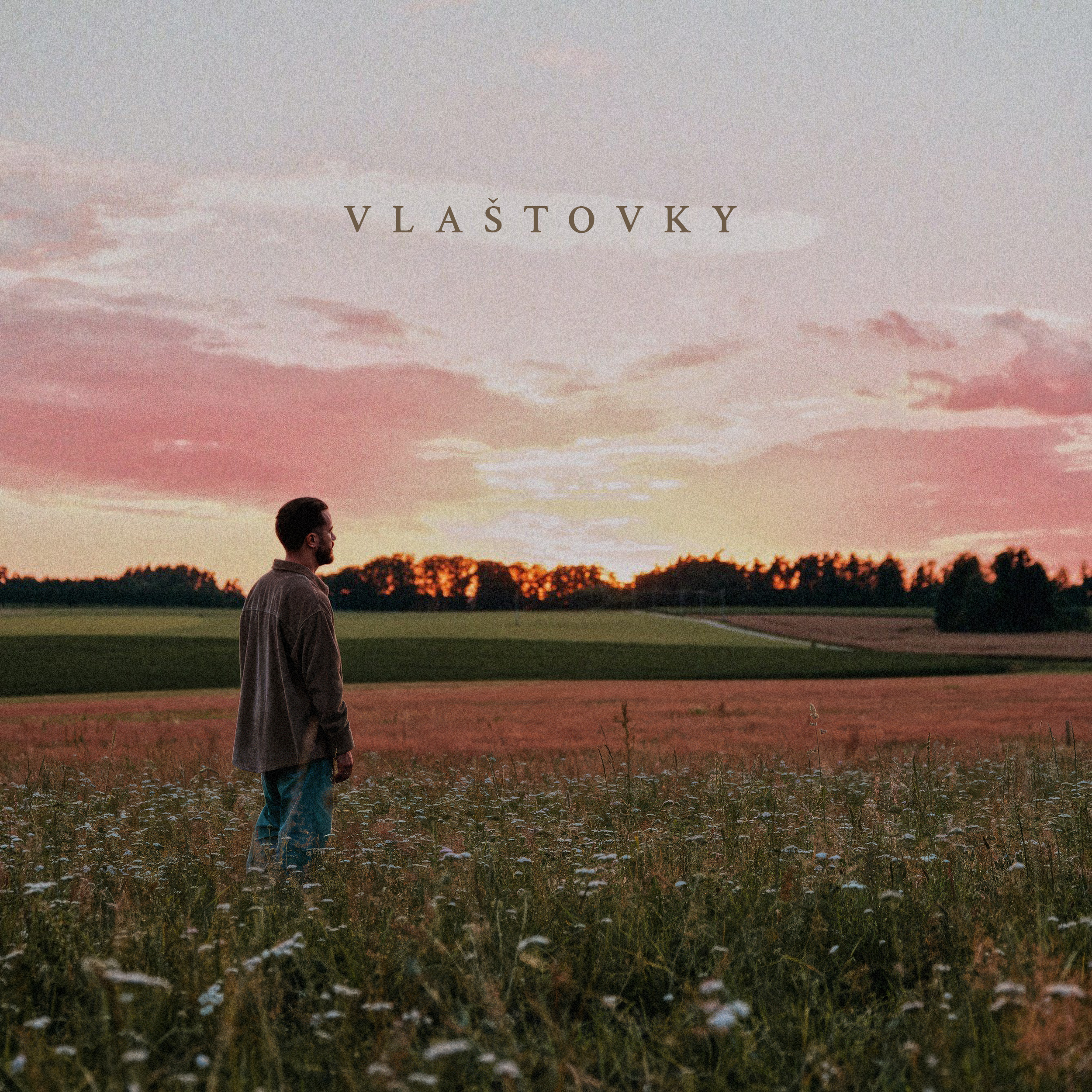 Lipo-Vlastovky-digicover.jpg
