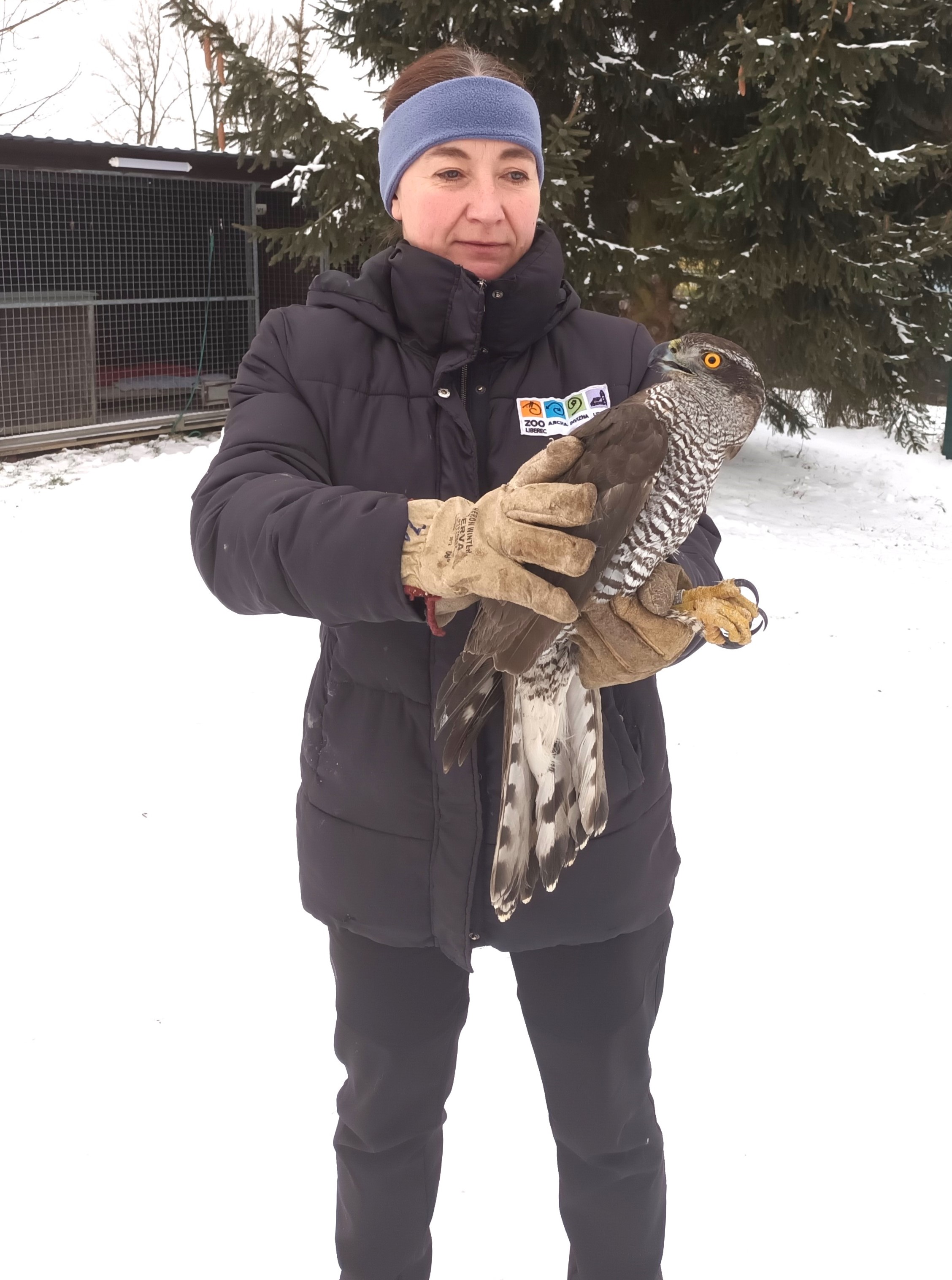 Ivana Hancvenclová se slepým jeřábem.jpg