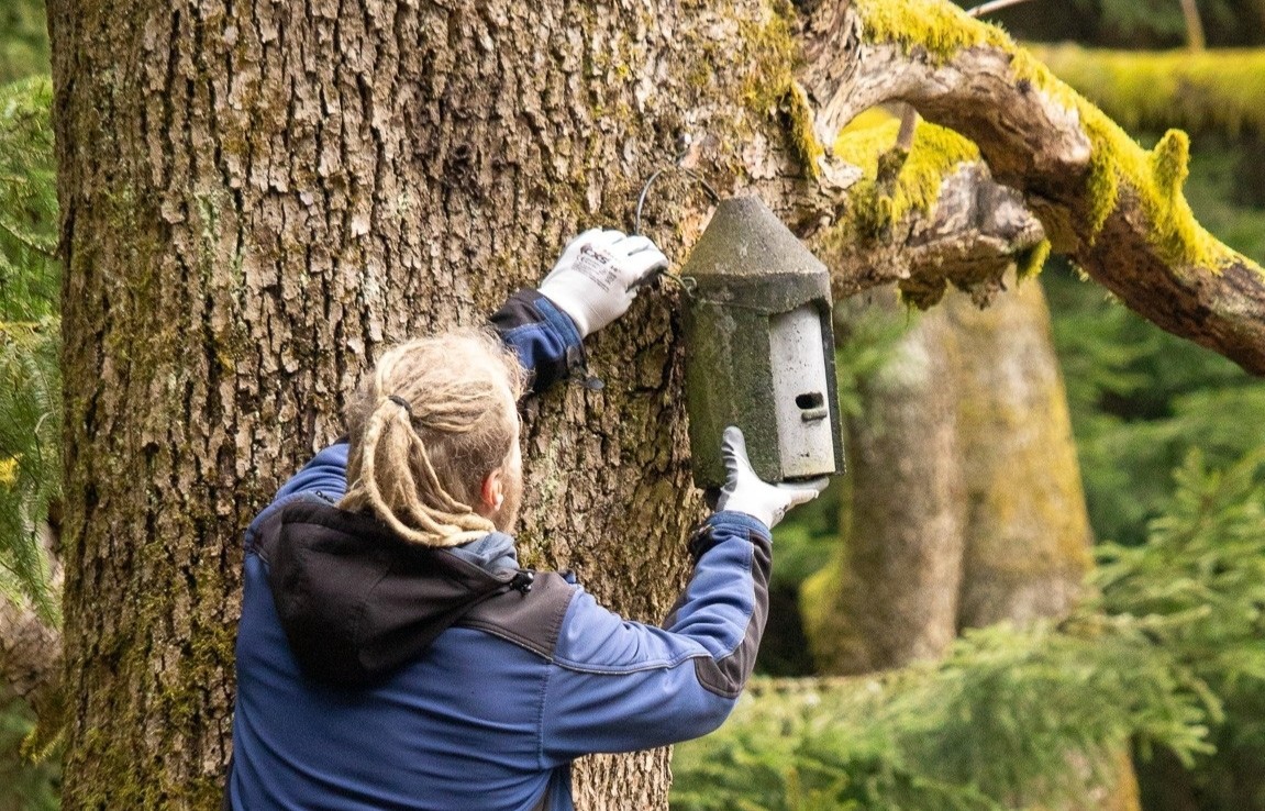 image-proxy (7).jpeg