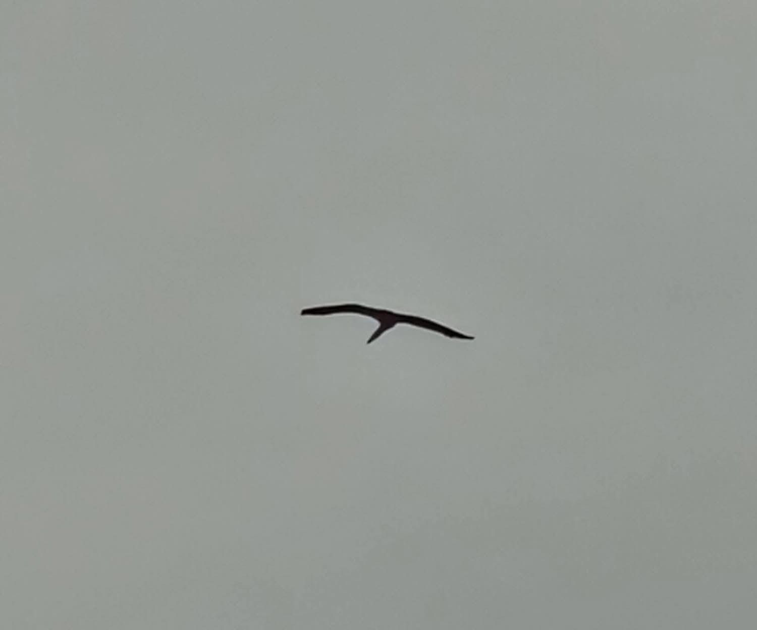 IMG_6927.JPG