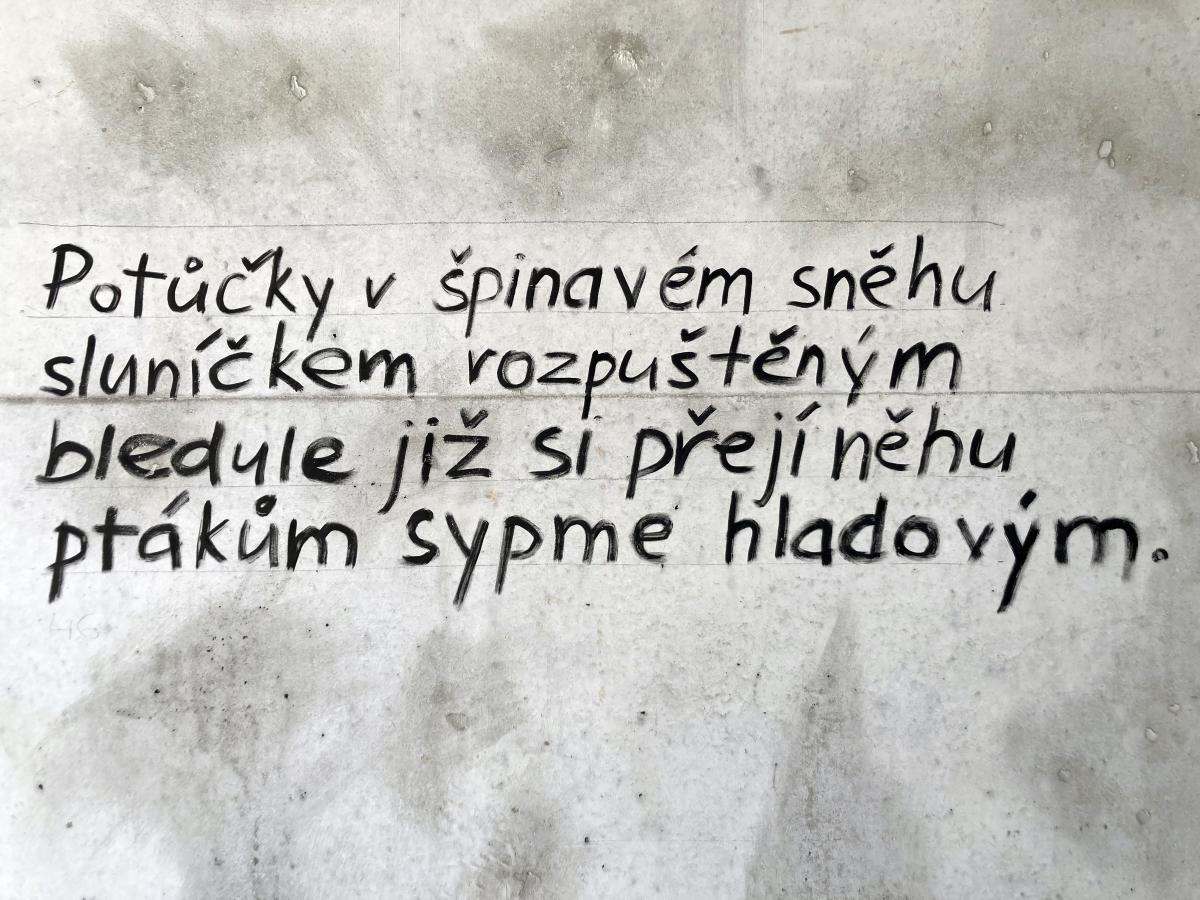 expozice_foto_09.jpg
