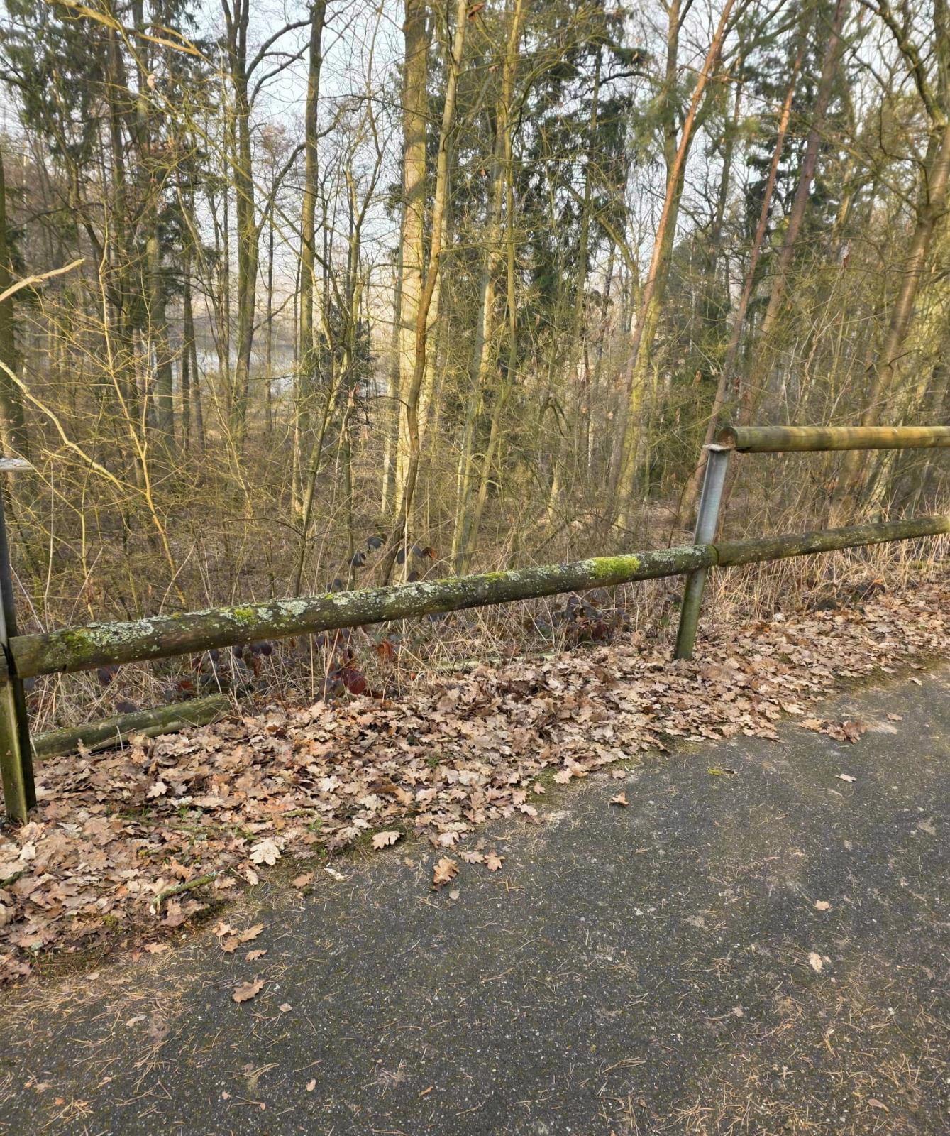 ViewImage - 2026-03-16T121448.610.jpeg