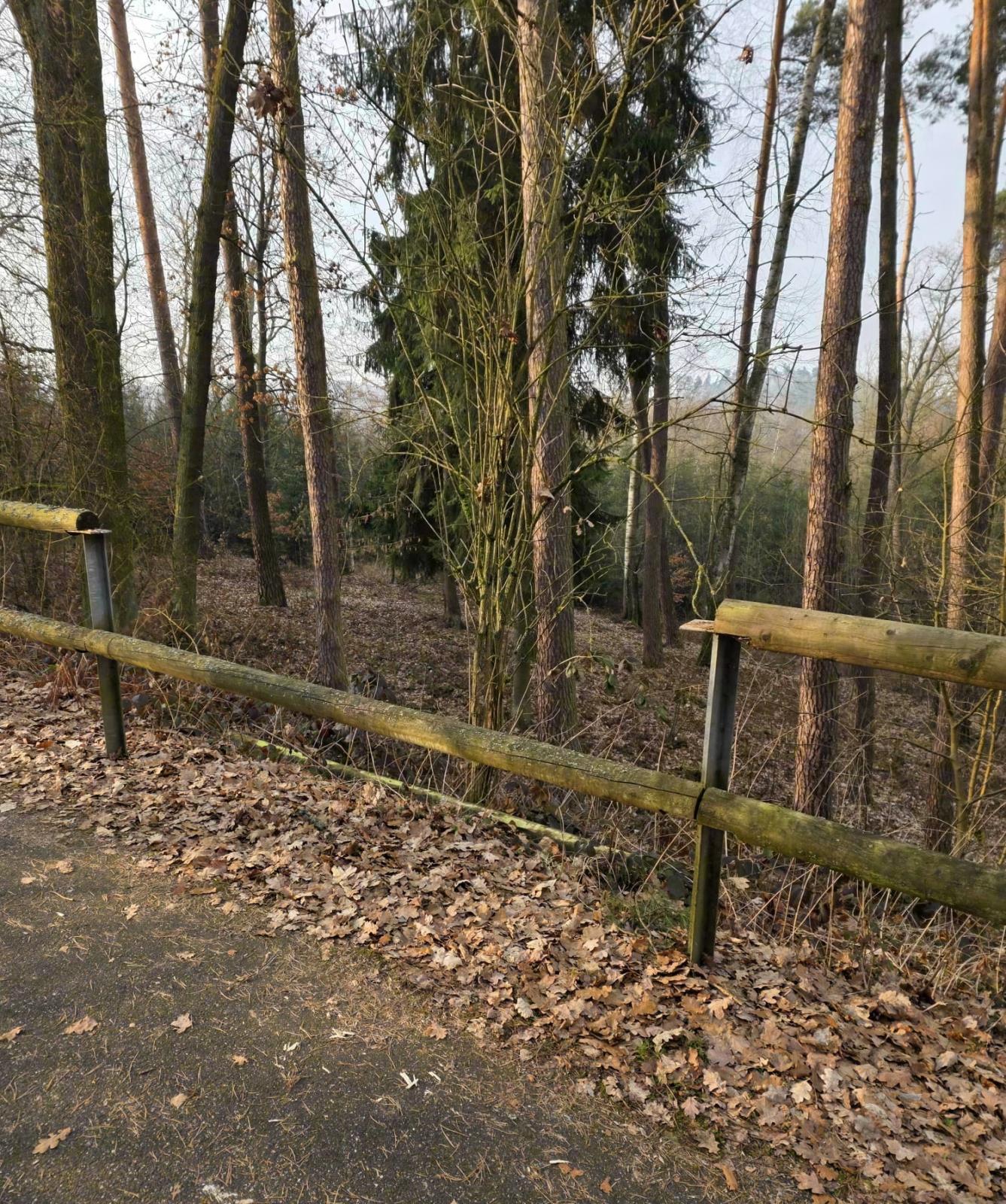 ViewImage - 2026-03-16T121454.939.jpeg