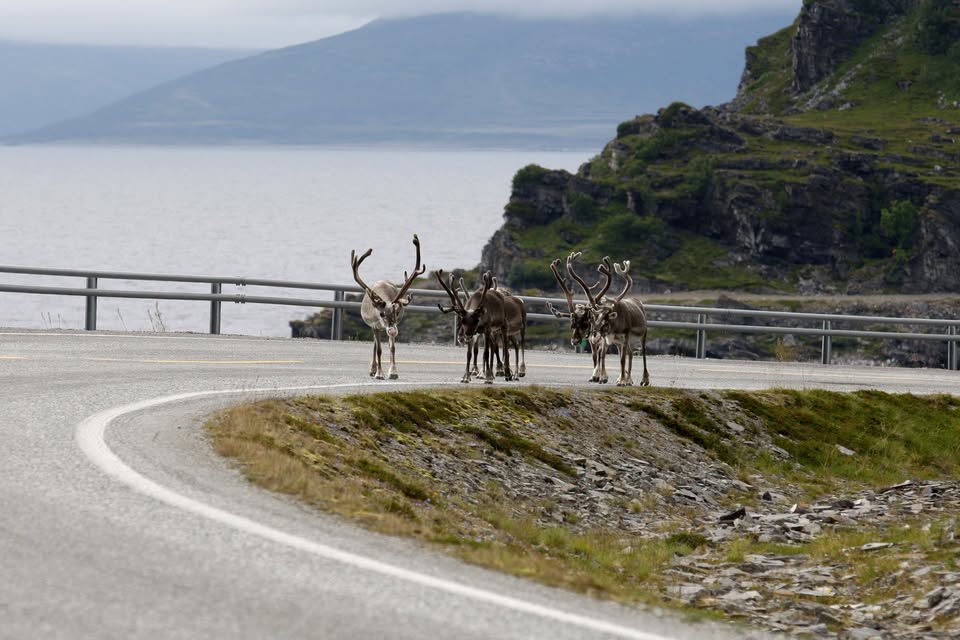CESTOMÁNIE LOFOTY A NORDKAPP