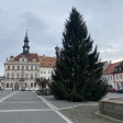Náhled článku: Příští neděli rozsvítí v České Lípě vánoční strom. Těšit se můžete na pestrý hudební program