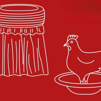 Co to znamená? Výstava o zrádných slovech v polsko-české konverzaci