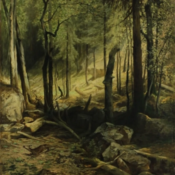 Komentovaná prohlídka k výstavě Krajiny spatřené | Očima Karla Hynka Máchy