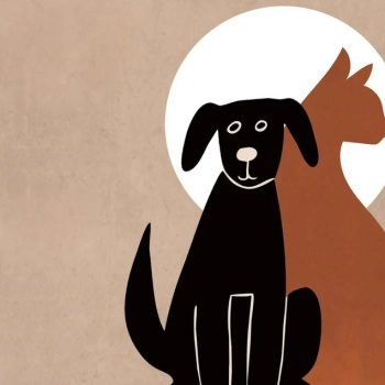 Divadlo Kordula: Kdo udělal mňau?