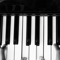 Koncert klavírního tria DFXŠ