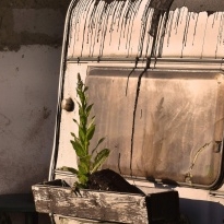 Vernisáž fotografické výstavy Přívěsy lesa | Václav Němec