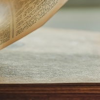 Přednáška Genealogie a rodokmeny