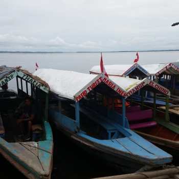 CESTOMÁNIE - Amazonie, Peru