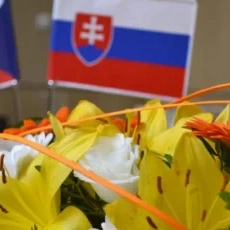 Environmentální dějiny v česko-slovenském kontextu