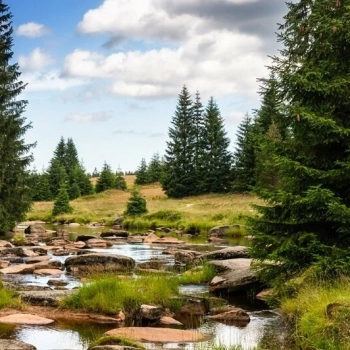 Pavla Bičíková: Příběhy od řeky Jizery
