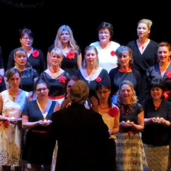 Koncert pro seniory s Musicou Fortunou