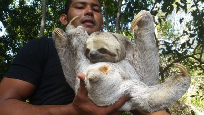 Náhled události: Amazonie II - Brazilie