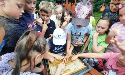 Náhled článku: Školáci na Liberecku testují řemesla přímo v dílnách výrobců