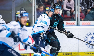 Náhled článku: Tygři vybojovali bod v Karlových Varech, znovu rozhodly nájezdy