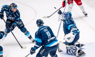 Náhled článku: Tygři porazili Třinec a vystoupali na druhé místo extraligové tabulky