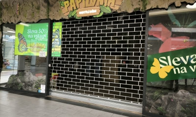 Náhled článku: Exotický ráj vzácných motýlů opouští Liberec. Papilonia v OC Forum uzavřela své brány