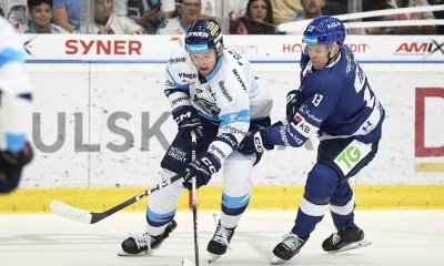 Náhled článku: Tygři vsází na mladé útočníky. Nové smlouvy podepsali Jansa a Hujer