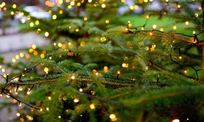 Náhled článku: ČEZ rozsvítí rekordních 374 stromečků po celé ČR. Veřejnost rozhodne, ve které obci mají ten nejhezčí