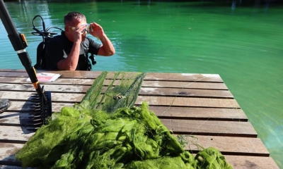 Náhled článku: Na dno biotopu v Dolánkách se musel ponořit potápěč. Voda měla jen 12 °C