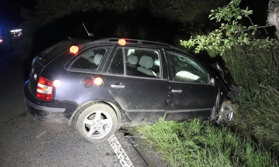 Náhled článku: Naboural do stromu, utekl a omylem si stopnul policejní auto