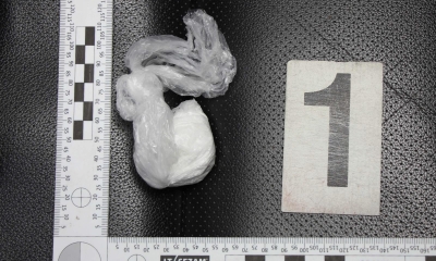 Náhled článku: Běžná silniční kontrola v Doksech odhalila kokain v ponožce. Spolujezdci hrozí až dva roky vězení