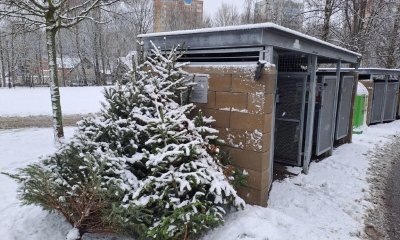 Náhled článku: Jablonec se připravuje na svoz vánočních stromků. Kam s nimi a na co si dát pozor?