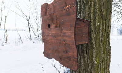 Náhled článku: Dudek chocholatý se vrací na Českolipsko. Zahnízdit může v nových budkách