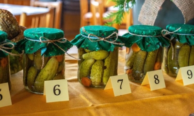 Náhled článku: Recept po babičce, nebo vlastní experiment? Frýdlant spouští 11. ročník Okurkiády