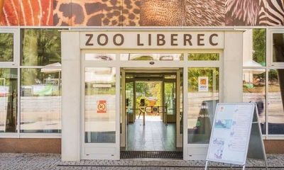 Náhled článku: Zoo Liberec otevírá druhý vstup. Rekonstrukce žirafince mění prohlídkový okruh