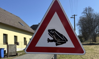 Náhled článku: Obojživelníci se vracejí k vodě. Vratislavice instalují ochranné zábrany