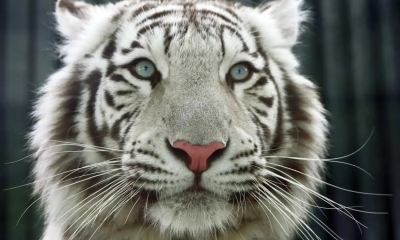 Náhled článku: Zoo Liberec zahajuje sezónu Dnem Země. Těšit se můžete na interaktivní stanoviště i osvětovou kampaň