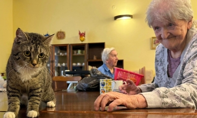 Náhled článku: Terapie předením. Hendikepovaná kočička Princezna rozdávala radost v jabloneckém domově seniorů